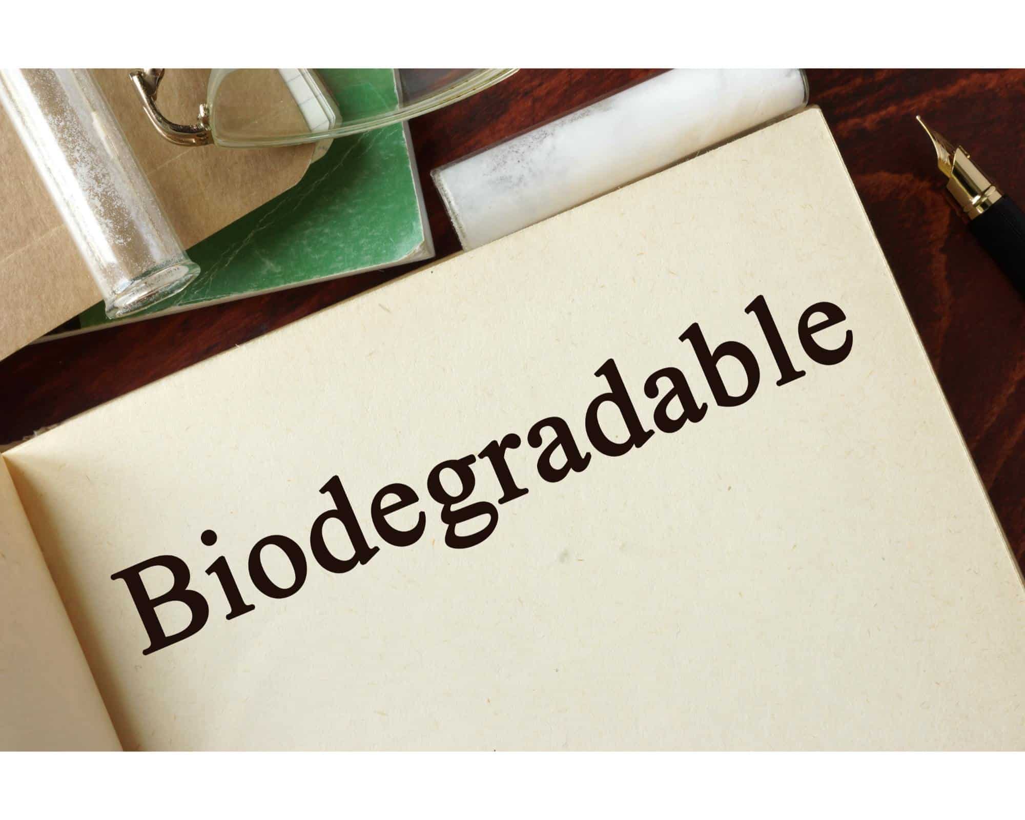 Understanding the Difference between Biodegradable vs. Biomimicry